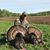 Dan Gusick's profile image