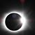 Chris Manring's profile image