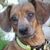 Mary McKeon's profile image