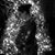 Kristen Hartong's profile image