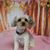 Anne Marie Prevo's profile image