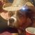 Ken Vaillancourt's profile image