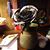 Debra Lackey Propst's profile image