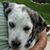 Sandy Bengardino's profile image