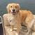 Mary Helen Crouse's profile image