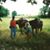 Kim PJ Strukel's profile image
