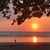 Patricia Cozma's profile image