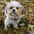 Catherine Archambault's profile image