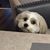 Cindy Mollen Berg's profile image