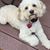 Sue Rainey's profile image