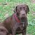 Gary Butler's profile image