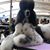 Diane Rock's profile image