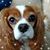 Mark Marinello's profile image