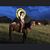Steffan Simpson's profile image