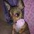 Cathy Skidmore Moyer's profile image