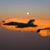 David Garbett's profile image