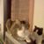Mindy Putt's profile image