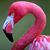 Priscilla McCune's profile image