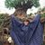 Tammy Keck's profile image