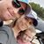 Chastity Sneed's profile image