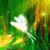 Jevne Clobes's profile image