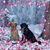 Brenda Curcio Conway's profile image