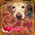 Michelle Rickard Evans's profile image