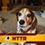Franklin Harder's profile image