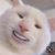 Jey Rmrez's profile image