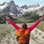 Jessie Willis's profile image