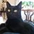 Cindy Lou Sheridan's profile image