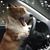 Pam Withenbury Escarza's profile image