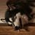 Karen Lee Raiche's profile image