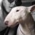 Jason Johnson's profile image