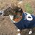 David Sommerfeld Jr's profile image