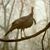 Mill Branch's profile image