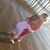 Paige Carlucci's profile image