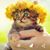 Allena Weber's profile image