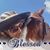 Stephanie Mills's profile image