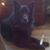 Ellen Charpentier's profile image