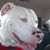 Mary Bacon's profile image