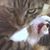 Michael Roy McCleary's profile image