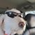 June Ebbole Myers's profile image