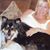 Gloria Carlson's profile image