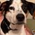 Karen Watson Bolick's profile image