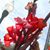 Kjirsten Frank Hoppe's profile image