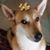 Paul G. Smith's profile image