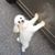 David Aaron Hiles's profile image