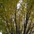 Linda Draper Eng's profile image