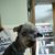 Duane Reagan's profile image